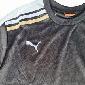 Puma Esito Sweatshirt logo