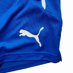 Puma - Grasshoppers Zurich Shorts